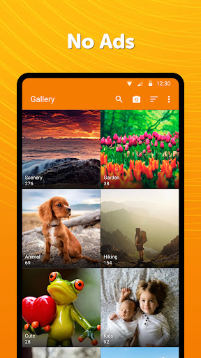 Simple Gallery Pro: Photos Mod Apk 6.23.7 (Unlocked) Gallery 1