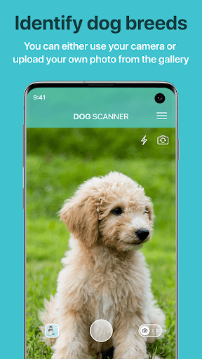 Dog Scanner Breed Recognition v12.1.0G APK MOD Premium Unlocked Gallery 0