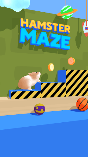 Hamster Maze Gallery 1