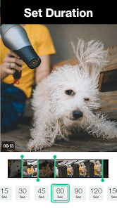 Magisto Video Editor & Maker APK v6.24.1.20950 Gallery 2