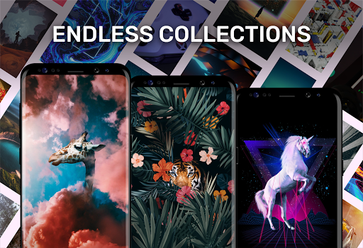 Walli 4K Wallpapers & Backgrounds 2.10.0.84 APK MOD Premium Unlocked