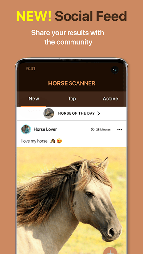 Horse Scanner v12.1.0G APK MOD Premium Unlocked Gallery 3