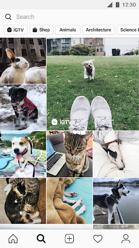 Instagram APK v223.0.0.0.84 (MOD Unlocked) Gallery 3