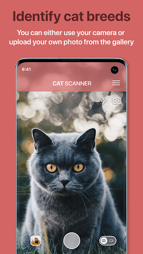 Cat Scanner Breed Recognition v12.1.0G APK MOD Premium Unlocked Gallery 0