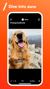 Reddit APK v2022.33.0 MOD (Premium Unlocked) Gallery 3