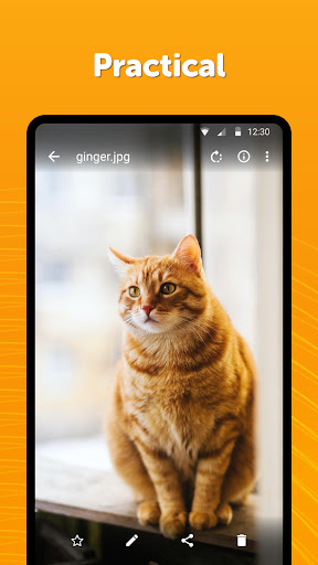 Simple Gallery Pro: Photos Mod Apk 6.23.7 (Unlocked) Gallery 4