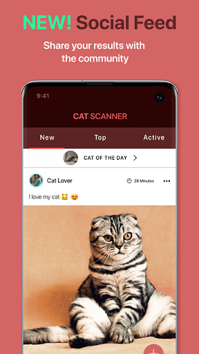 Cat Scanner Breed Recognition v12.1.0G APK MOD Premium Unlocked Gallery 3