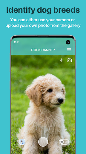 Dog Scanner Breed Recognition v12.1.0G APK MOD Premium Unlocked