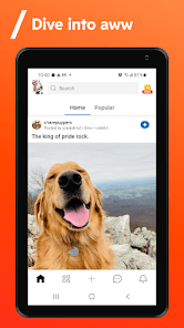 Reddit APK v2022.33.0 MOD (Premium Unlocked) Gallery 9