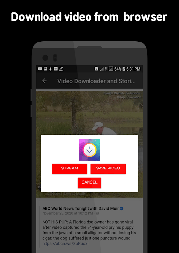 Video Downloader and Stories Mod Apk 3.0.3 Gallery 7