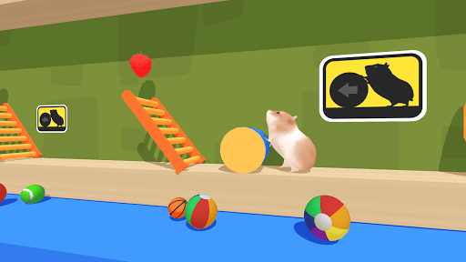 Hamster Maze Gallery 8