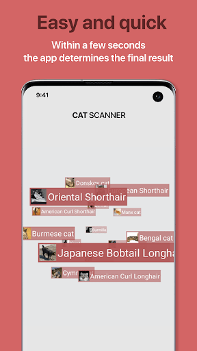 Cat Scanner Breed Recognition v12.1.0G APK MOD Premium Unlocked Gallery 2