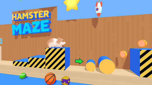 Hamster Maze Gallery 7